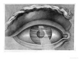 Buy Eye Enclosing the Theatre at Besancon, France, 1847 at AllPosters.com