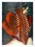The Flayed Angel," from "Myologie Complette En Couleur Et Grandeur Naturelle," 1746