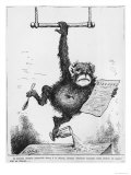 Buy Caricature of Paul Broca Illustration from "Le Triboulet," 1880 at AllPosters.com