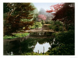 Japanese Ornamental Garden in Blossom