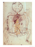 Buy Anatomical Diagram of the Human Circulatory and Digestive System, circa 1425-50 at AllPosters.com