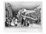 Buy The Whale at the Museum of Natural History in Paris, circa 1840 at AllPosters.com