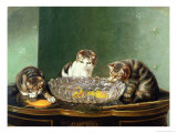 Buy The Fishing Party at AllPosters.com