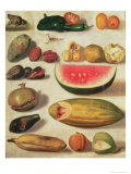 Still Life with Fruit and Toad