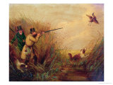 Buy Duck Shooting Amongst Reeds at AllPosters.com