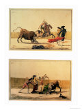 Buy The Bullfight at AllPosters.com