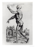 Buy Musculature Structure of a Man at AllPosters.com