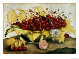 Buy Cherries and Carnations at AllPosters.com