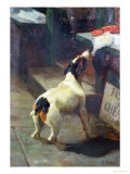Buy Fish is Cheap Today at AllPosters.com