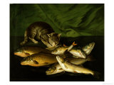 Buy A Cat with Trout, Perch and Carp on a Ledge at AllPosters.com