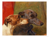 Buy The Greyhounds "Charley" and "Jimmy" in an Interior at AllPosters.com