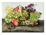 Buy Snail with Grapes and Pears at AllPosters.com