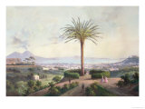 Buy View of Naples from Capodimonte at AllPosters.com