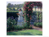 Sweet Solitude, 1919