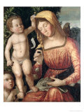 Buy Madonna Sewing at AllPosters.com