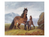 Buy A Welsh Mountain Mare and Foal, 1854 at AllPosters.com