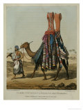 Buy Camel Conveying a Bride to Her Husband at AllPosters.com