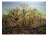 Buy The Edge of Sherwood Forest, 1878 at AllPosters.com