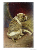Buy Give a Dog a Bone, 1888 at AllPosters.com