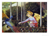 Buy Angel Feeding a Peacock, Detail from the Journey of the Magi Cycle in the Chapel, c. 1460 at AllPosters.com