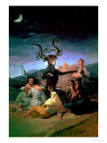 The Witches