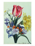 Buy Spring Flowers, 1815 at AllPosters.com