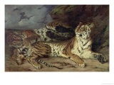 Young Tiger Playing with His Mother, 1830