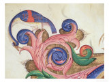 Buy Fantastical Bird Peering Around Foliage at AllPosters.com