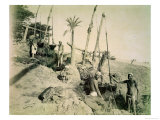 Buy Shadufs in Upper Egypt at AllPosters.com