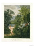 Buy Landscape with Cupid Aiming an Arrow at a Parrot or Queen Flower, from "The Temple of Flora" at AllPosters.com