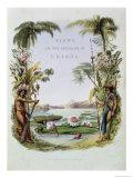 Buy Frontispiece to "Views in the Interior of Guiana" at AllPosters.com
