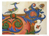 Buy Zoomorphic Foliage with Duck-Like Bird and Butterfly at AllPosters.com