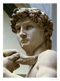 David, Detail of the Head, 1504
