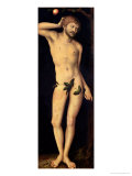 Adam, 1528