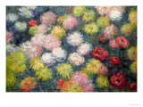Chrysanthemums, 1897