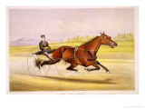 Buy The King of the Turf, "St. Julien," Driven by Orrin A. Hickok, Published by Currier and Ives, 1880 at AllPosters.com