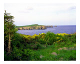 Buy Irish Coastline at AllPosters.com