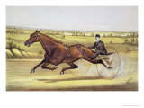 Buy The Queen of the Turf, "Maud S," Driven by W.W. Bair, Published by Currier and Ives, 1880 at AllPosters.com