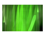 Buy Painted Green Reeds at AllPosters.com