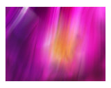 Buy Purple at AllPosters.com