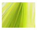 Buy Memories Of Green at AllPosters.com