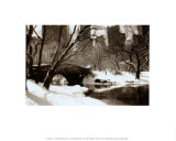 Buy Central Park, Bridge at AllPosters.com