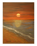 Buy Sun at AllPosters.com