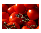 Buy Tomatoes at AllPosters.com