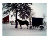 Buy Amish Horse and Buggy in Winter at AllPosters.com