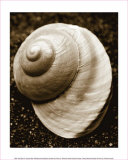 Buy Sea Gallery II at AllPosters.com