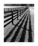 Buy Fences and Shadows, Florida at AllPosters.com