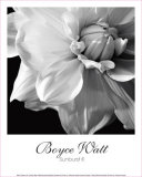 Buy Sunburst III at AllPosters.com