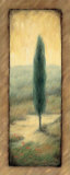 Buy Tuscan Twilight II at AllPosters.com