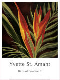 Buy Birds of Paradise II at AllPosters.com